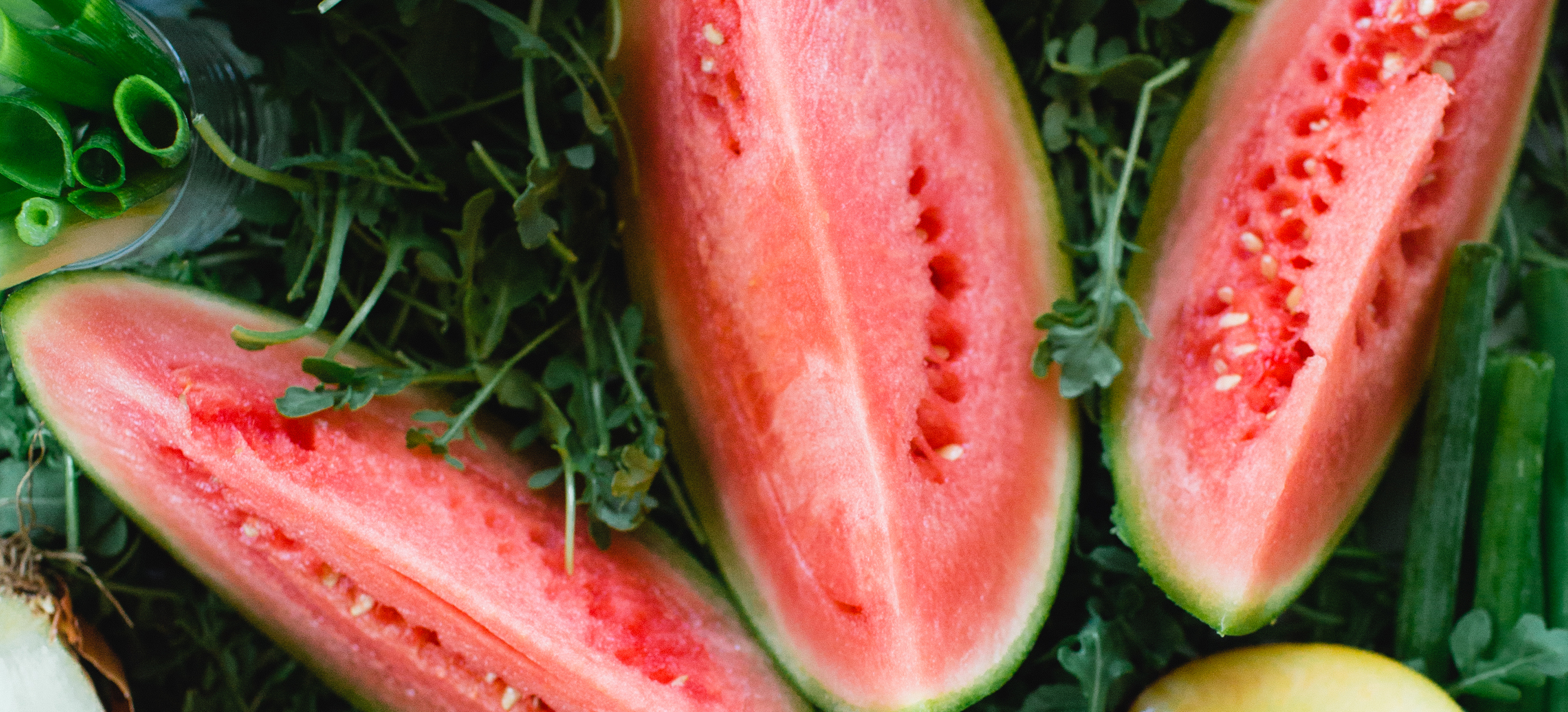 organic watermelon at lazy acres market