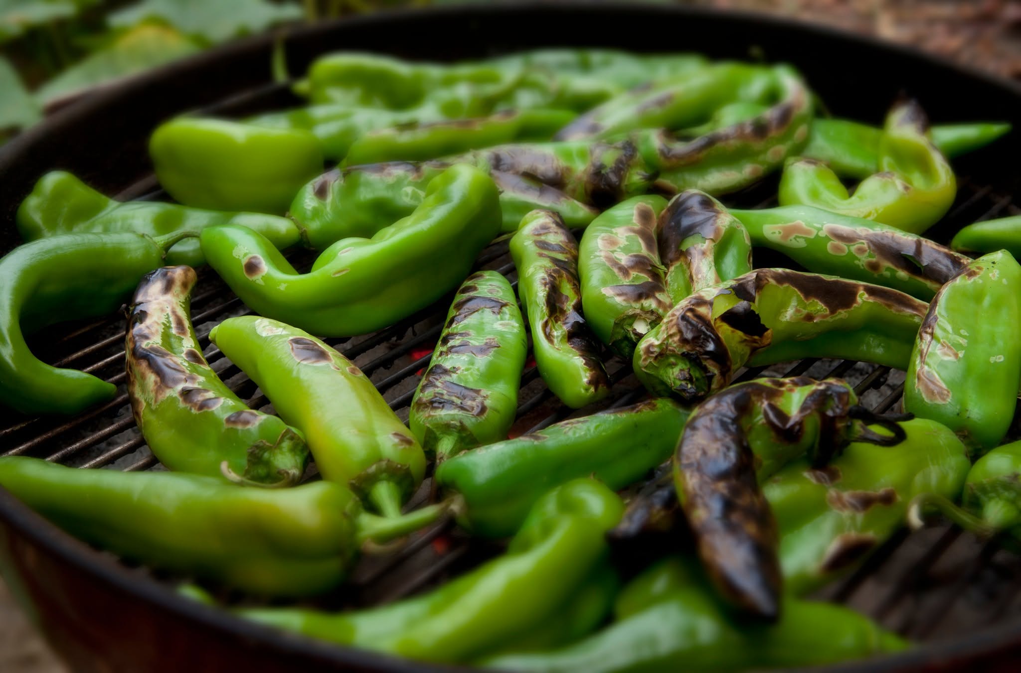 catch hatch pepper season at lazy acres market